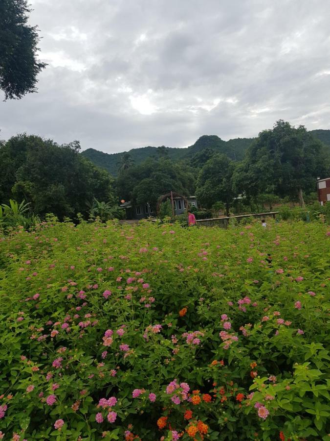 Blue Mountain Resort Sai Yok Eksteriør bilde